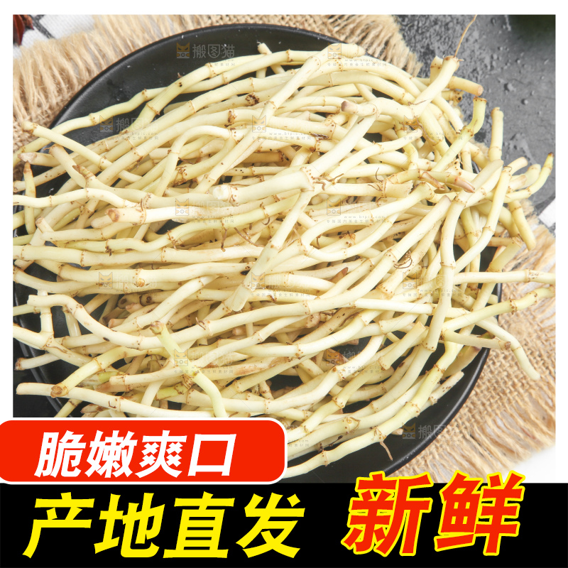 石板上放着折耳根