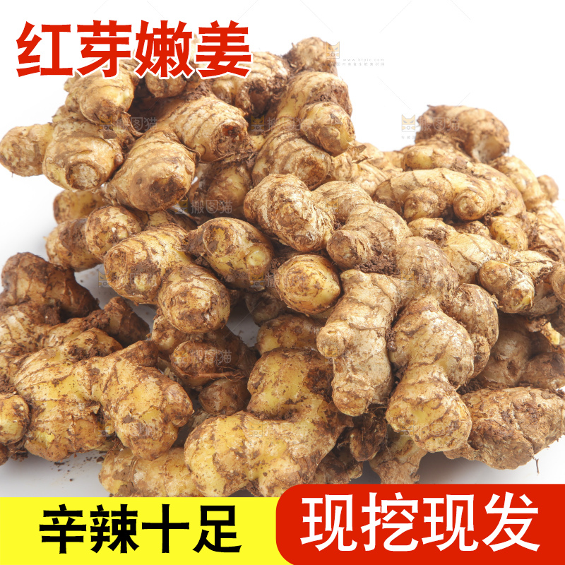 白底上摆放着云南小黄姜