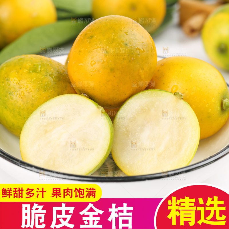白底上的金桔