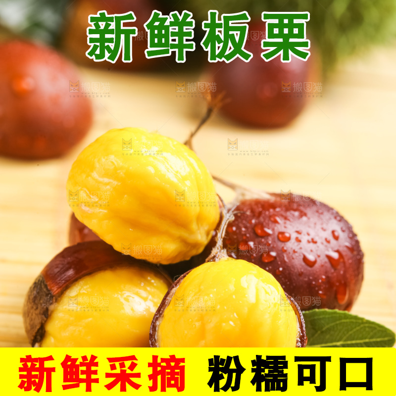 深底上的迁西板栗