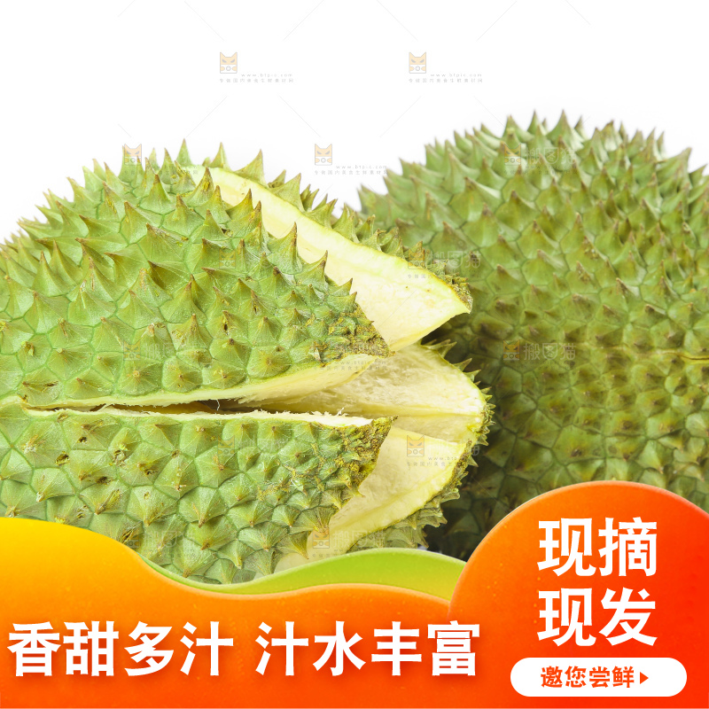 白底上放着泰国金枕榴莲