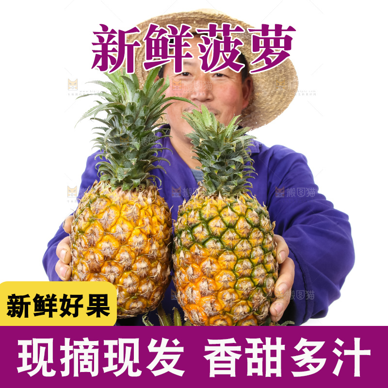 农民手里拿着香水菠萝