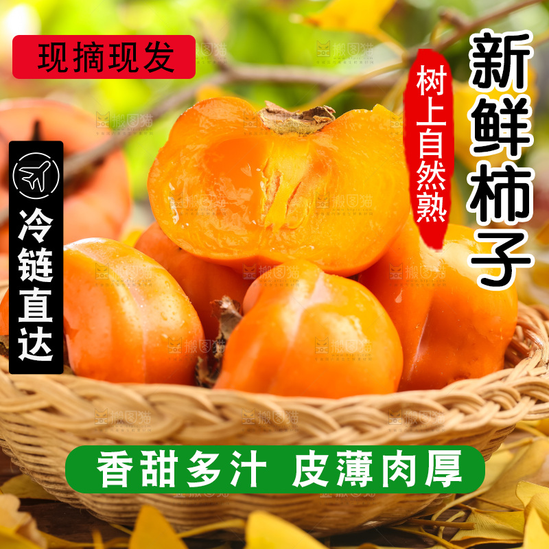 篮子里装着河北磨盘柿子