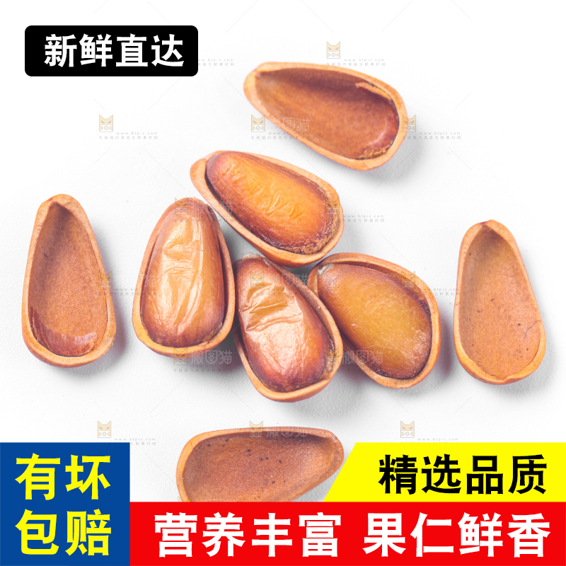 浅底上的手剥松子