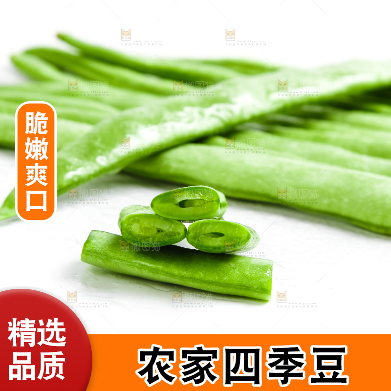 白底上的四季豆