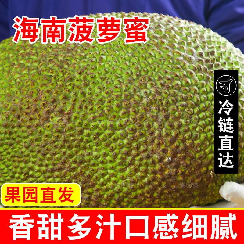 浅底上的泰国红心菠萝蜜