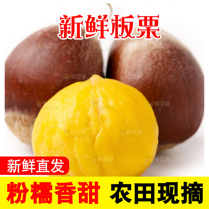 浅底上的迁西板栗