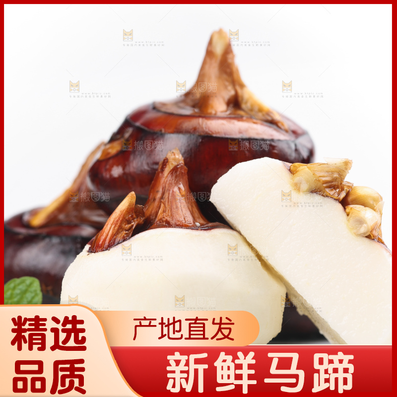 白底上放着广西马蹄