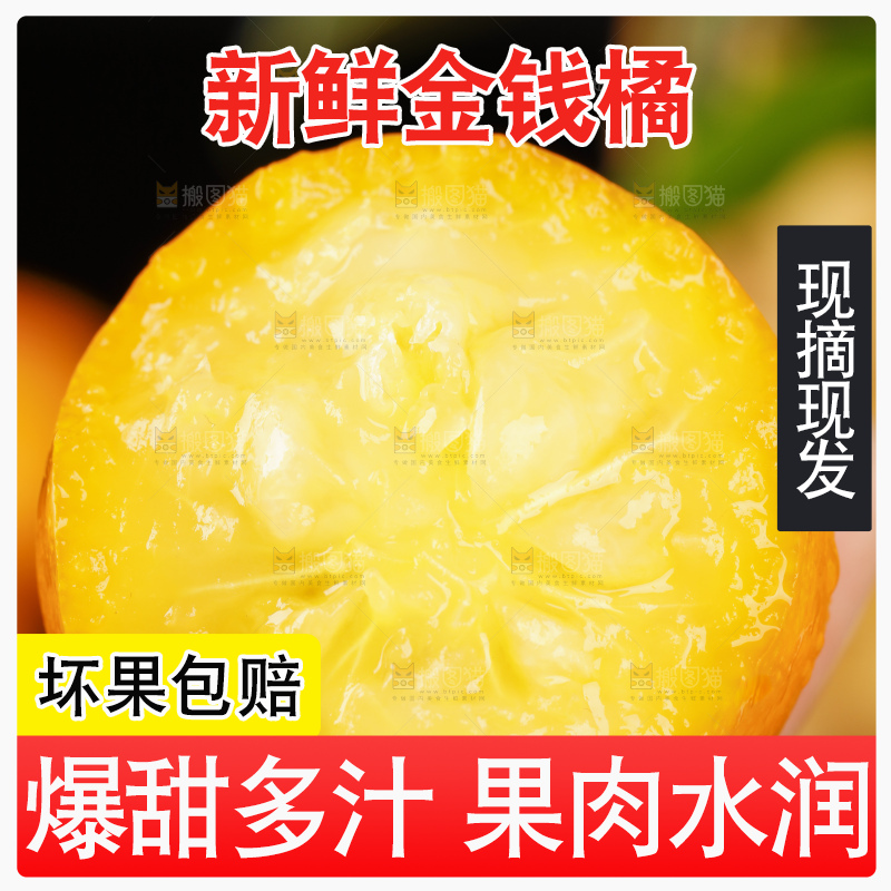 黑底上的小金桔
