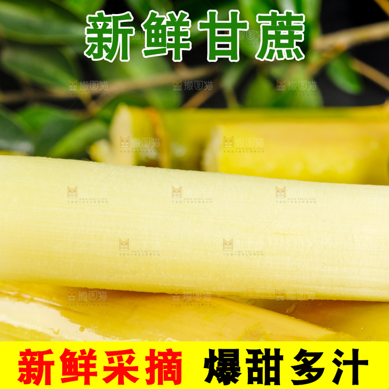 深底上的广西白玉甘蔗
