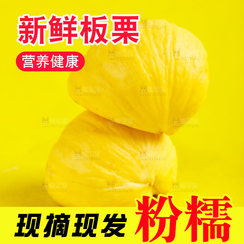 黄底上的迁西板栗