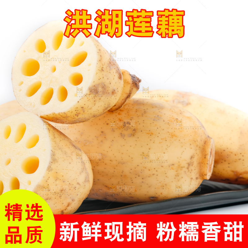 白底上的白莲藕