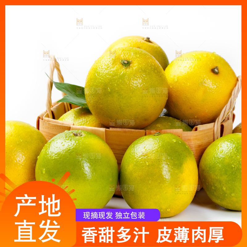 篮子里装着云南褚橙