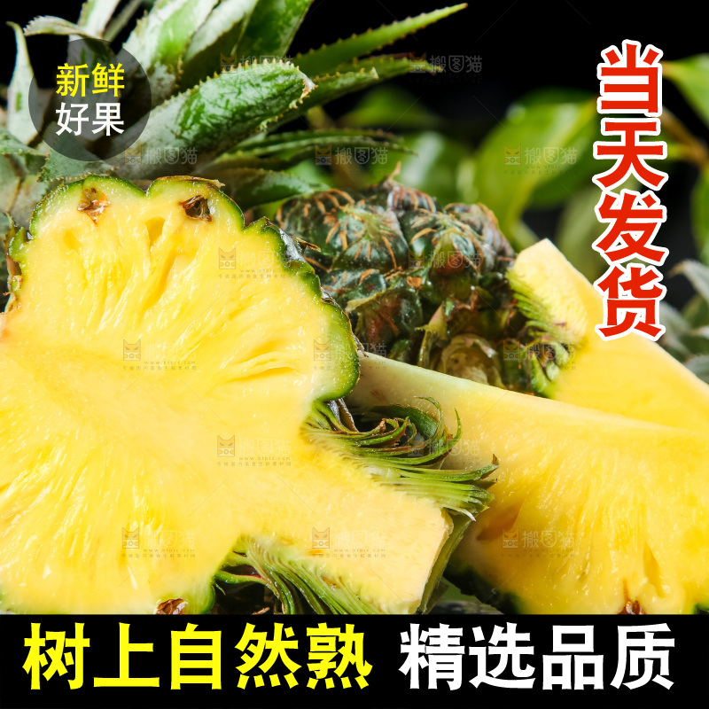 石板上摆放着泰国小菠萝