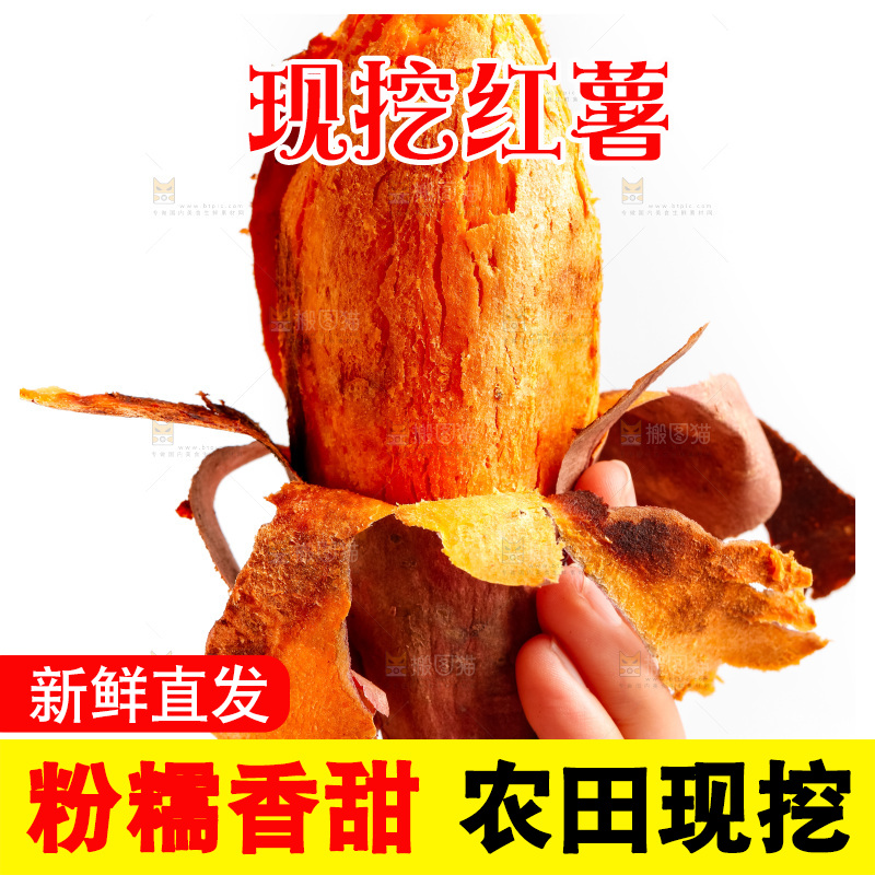 白底上的红薯