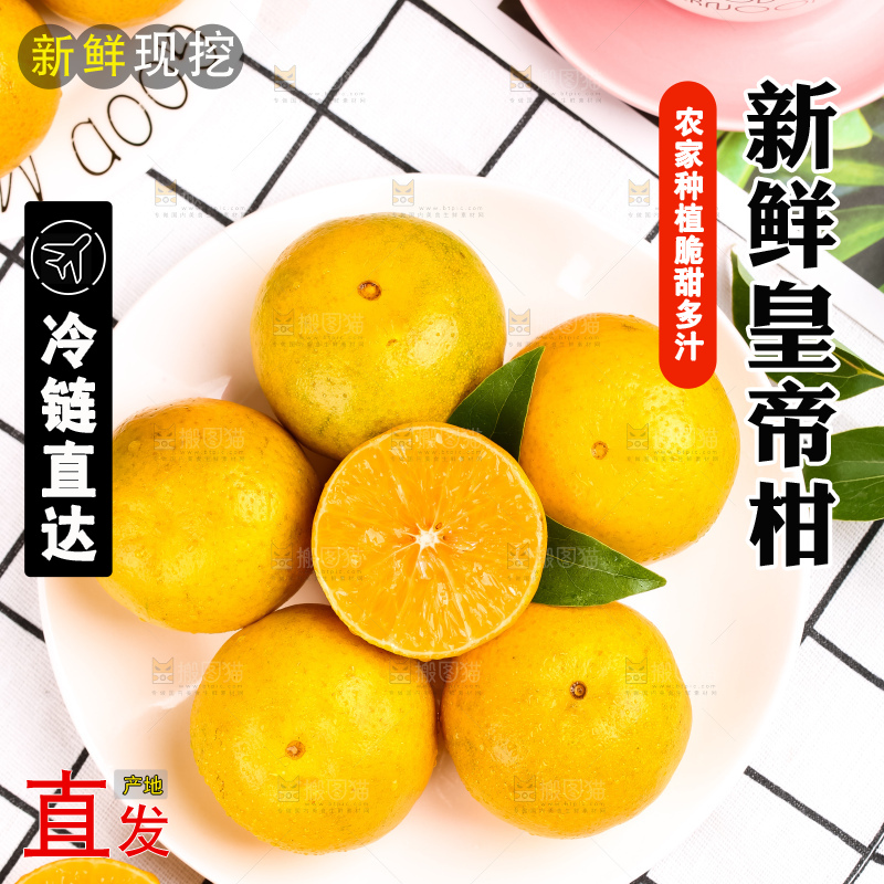 格子底上放着一盘武鸣皇帝柑