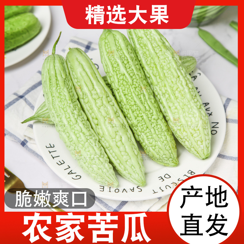 浅底上的苦瓜