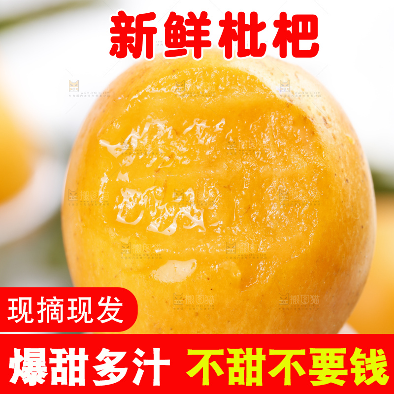 手里拿着新鲜枇杷