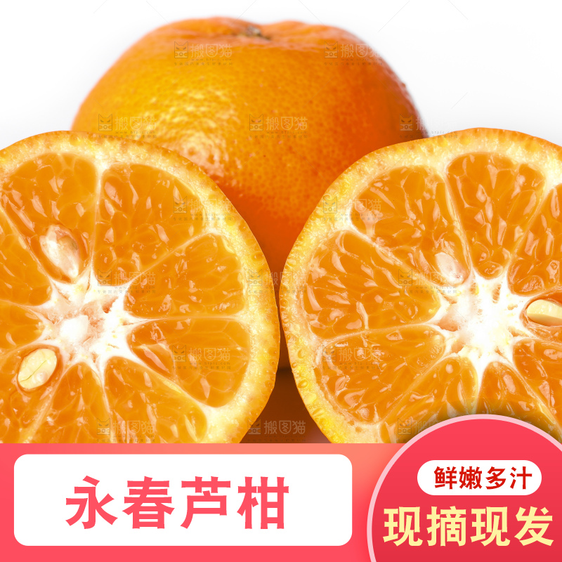 白底上的芦柑