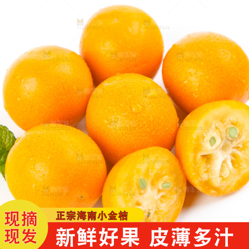 白底上的融安小金桔
