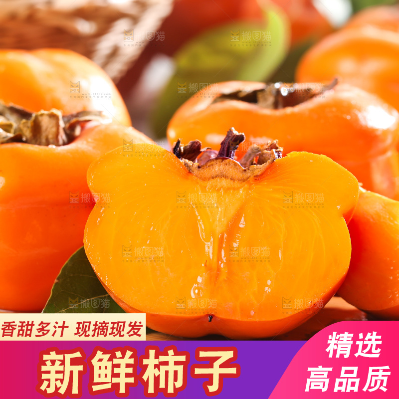 木底上的磨盘柿