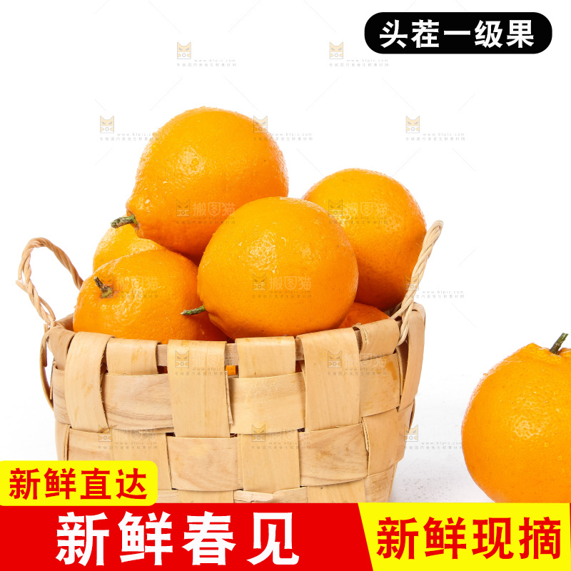 白底上的春见耙耙柑