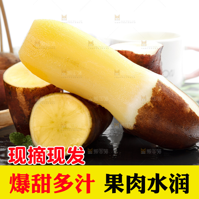 黑石板上的高原雪莲果