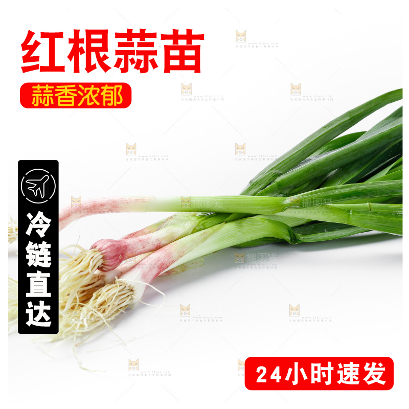 白底上的新鲜蒜苗