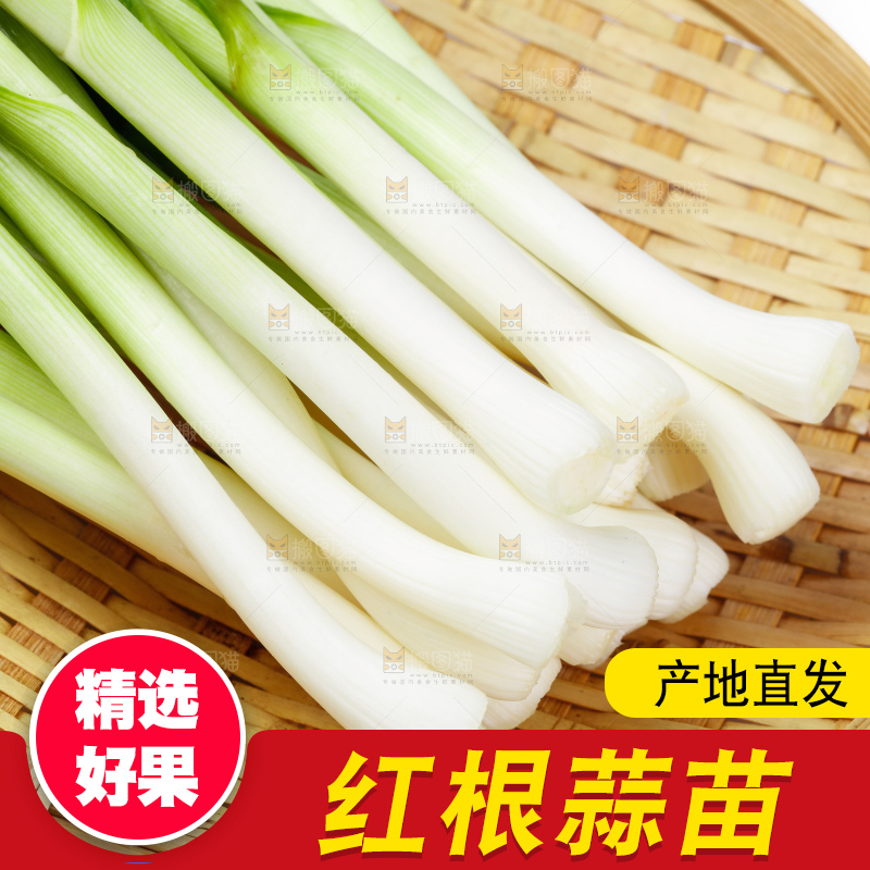 篮子里装着红根蒜苗