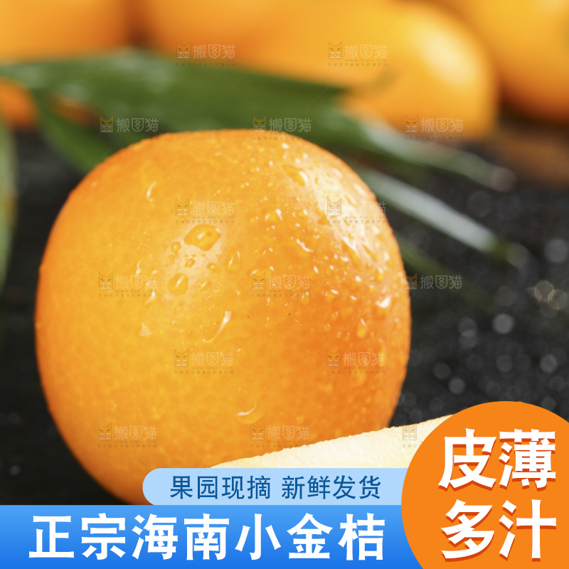 黑石板上的广西金钱橘