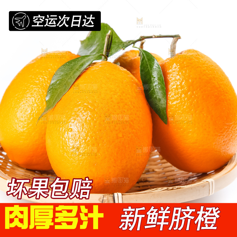 篮子里装着秭归脐橙