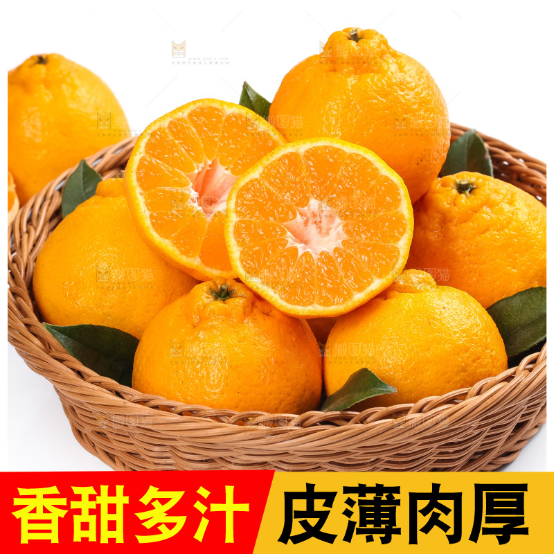 篮子里装着四川丑柑