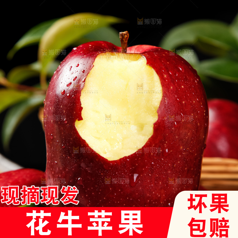 竹底上放着甘肃新鲜花牛苹果