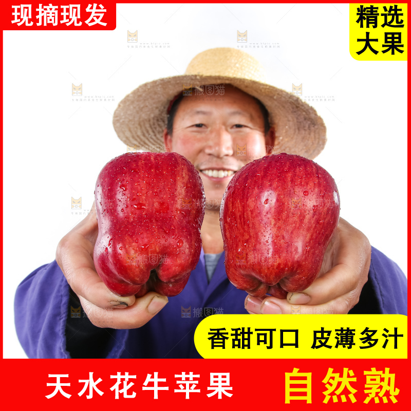 农民手里拿着天水花牛苹果