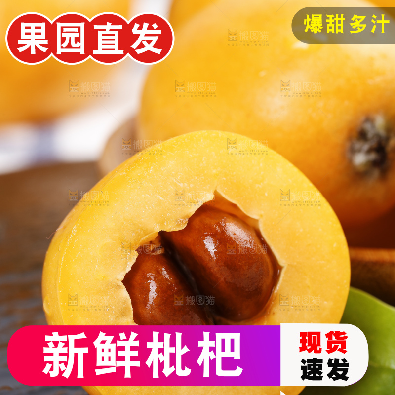石板上的云南蒙自枇杷