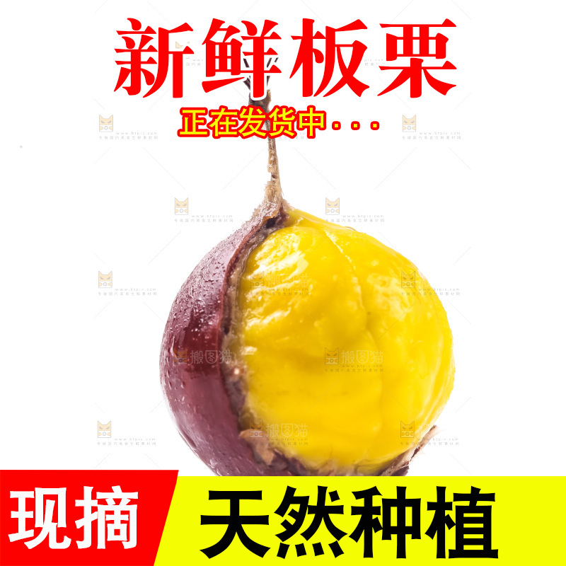 白底上的板栗