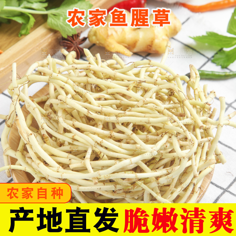篮子里装着鱼腥草