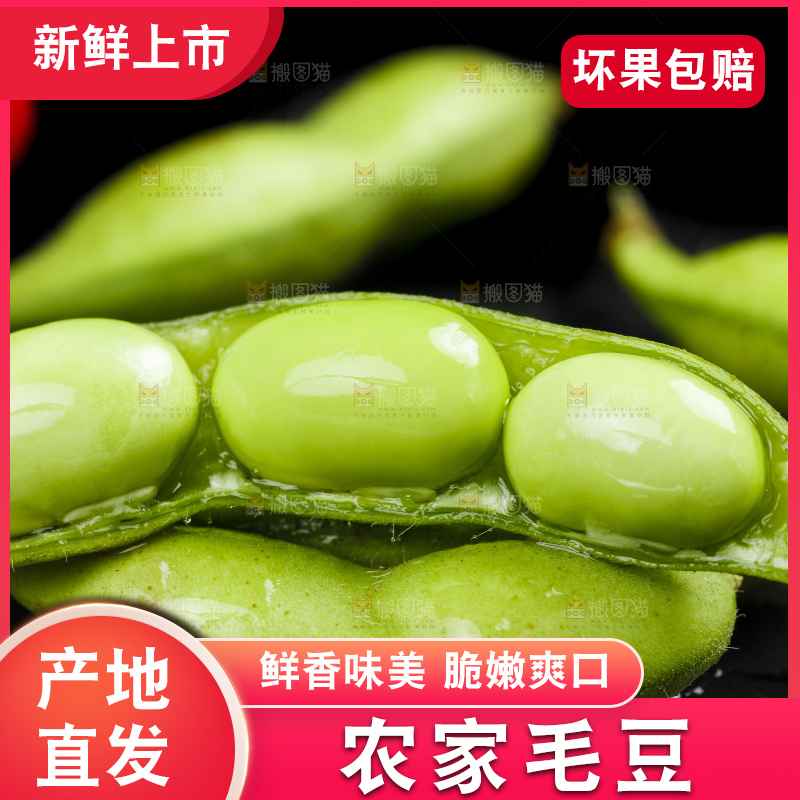 黑底上摆放着毛豆角