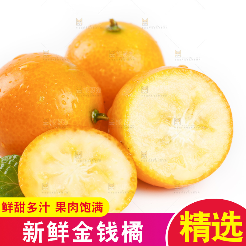 白底上的金桔