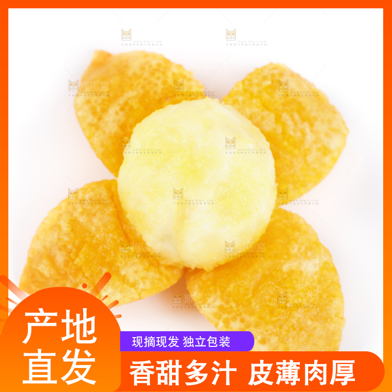 白底上的金桔