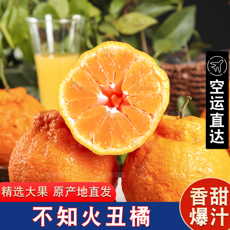 盘子里装着不知火丑橘