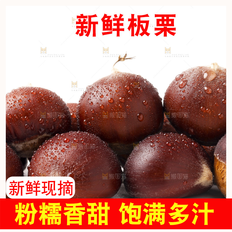 白底上一堆栗子