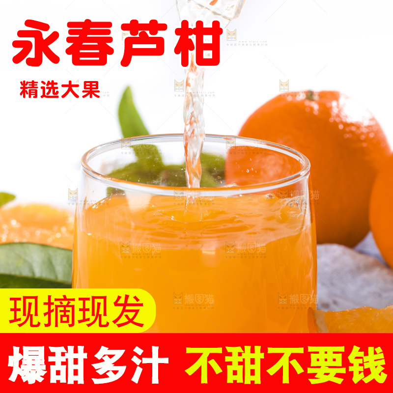 白底上的芦柑
