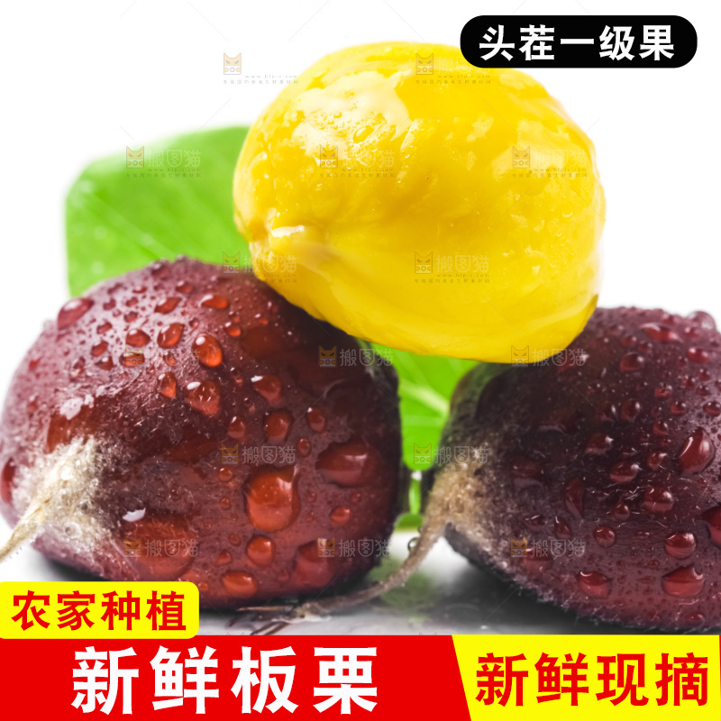 白底上放着迁西板栗