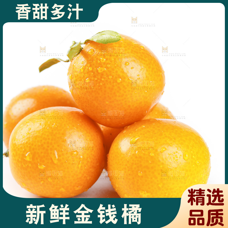 白底上的金桔