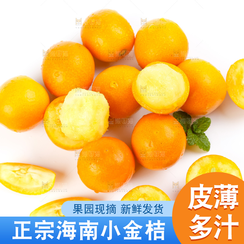 白底上摆放着阳朔金桔