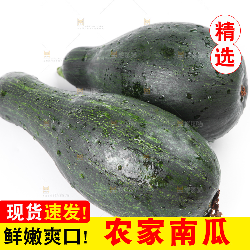 白底上的南瓜