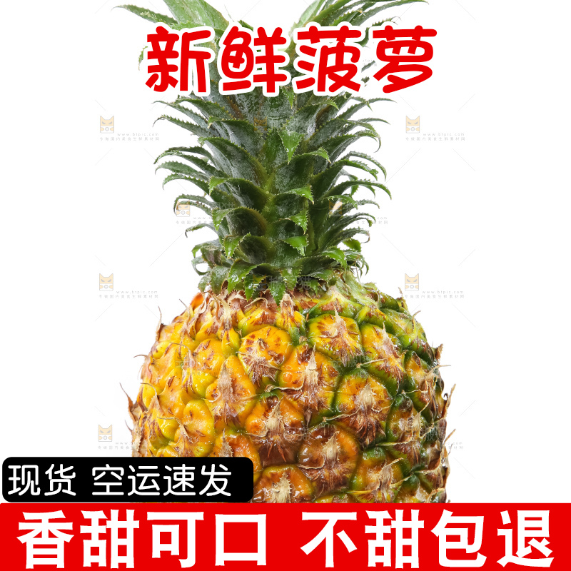 白底上放着菠萝