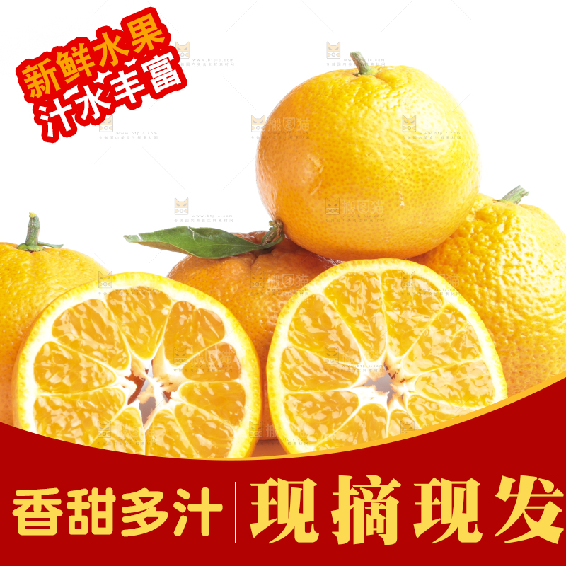 白底上的椪柑橘