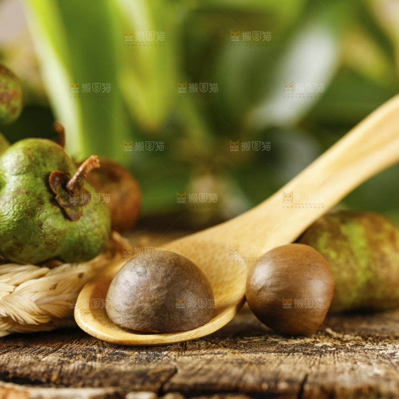 深底上的茶树果